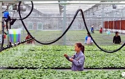 Óؚ����(ji��n)����100����ʮ��