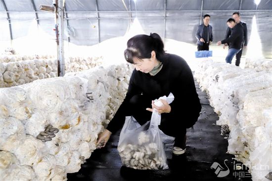 ����Ģ�������l(xi��ng)�����d