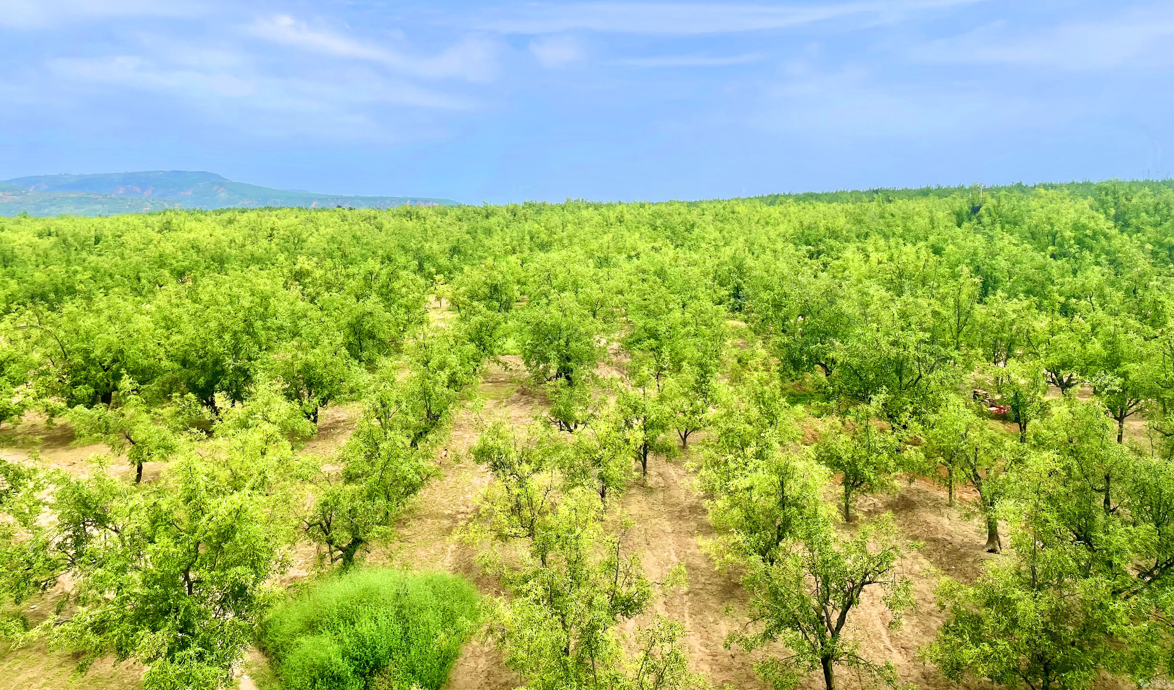 �����S���B(t��i)�� �򿨾��c�ࡱϵ�Ј�����ģ�