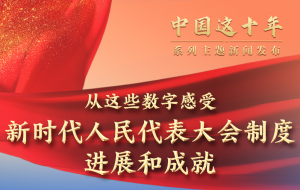 ���Ї�(gu��)�@ʮ�ꡱϵ�����}���l(f��)����(hu��)�۽��r(sh��)����(ji��n)�ֺ���������������(hu��)�ƶ��M(j��n)չ�ͳɾ�