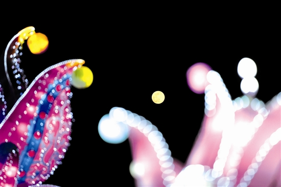 ������ҹ ������ʑcԪ��