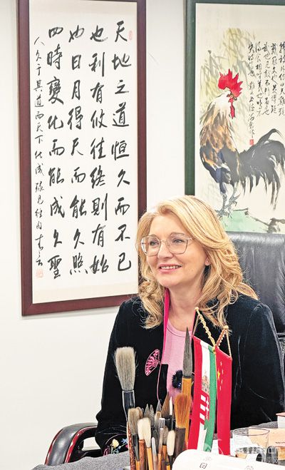 �ߌ�ʯ�ڽ��ܱ���(b��o)ӛ�߲��L�����Ŕz