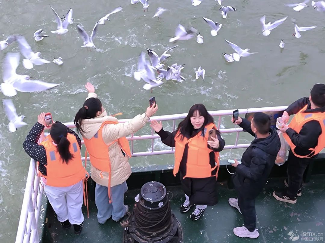 �´��߻��ө��t���t�ɞ����T�{����(ji��)���������c