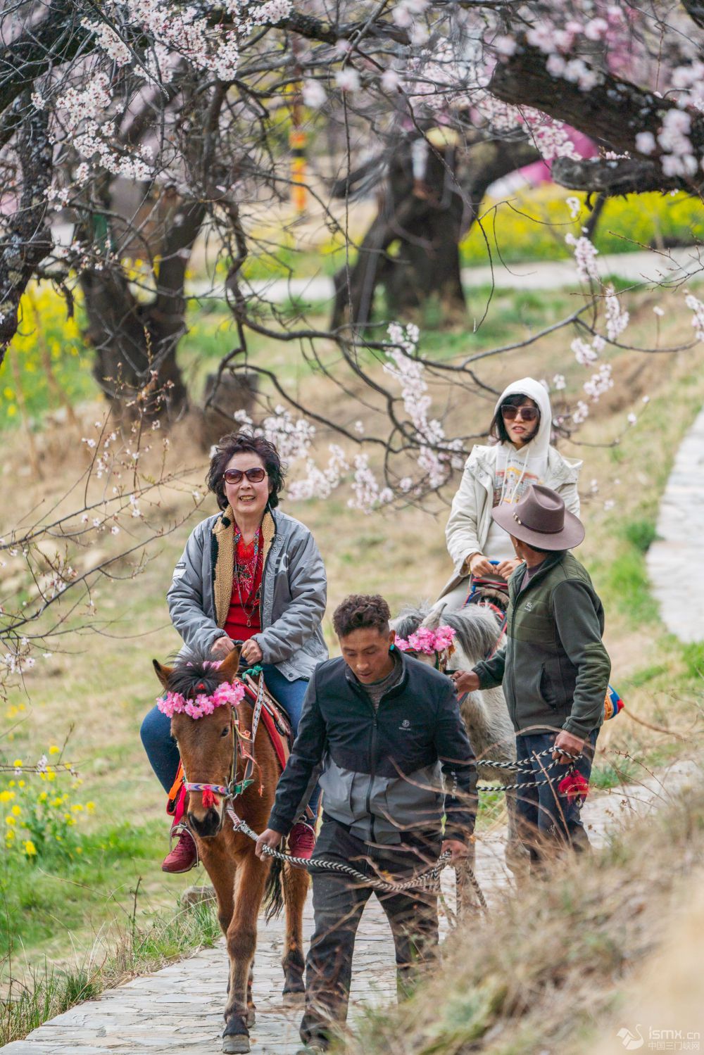 �ο�����֥�и������w��R���^�����DƬ��Դ ���A��